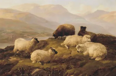 Sheep Resting In A Highland Landscape