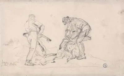 Sheep Shearing 2