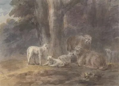Sheep Under A Tree
