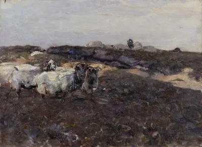 Sheeps In Moorland