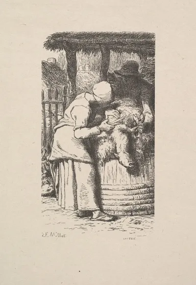 Sheepshearing