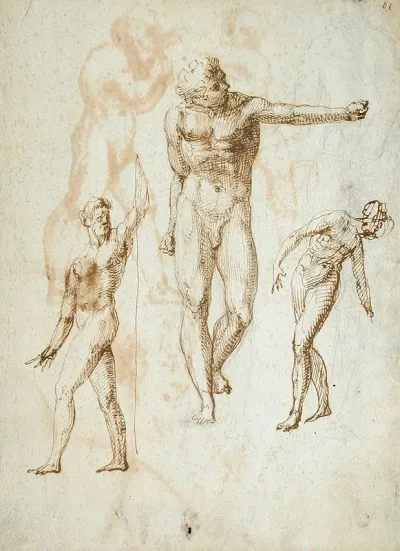 Sheet Of Studies 8