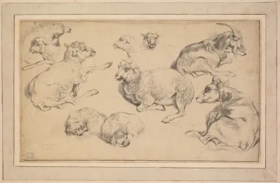 Sheet Of Studies With Sheep Goats And Dogs 2