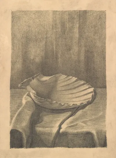 Shell On A Table