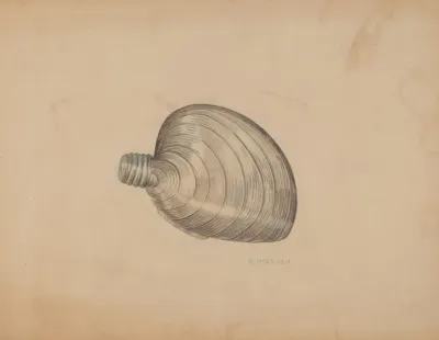 Shell Shaped Flask