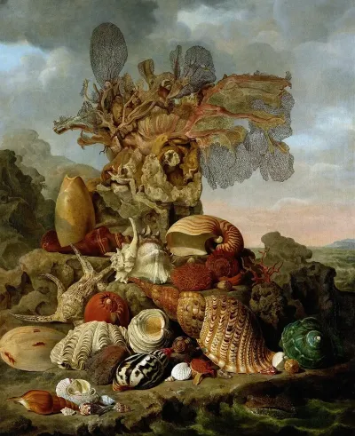 Shells And Marine Plants