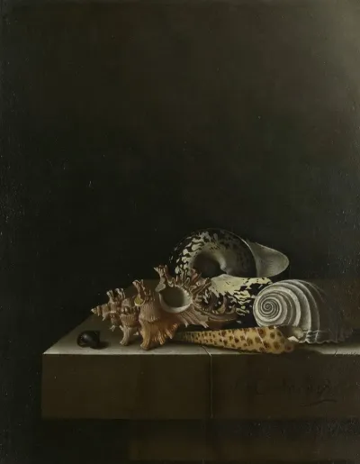 Shells On A Stone Plinth 2