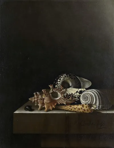 Shells On A Stone Plinth