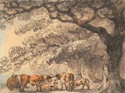 Shelter For Cattle