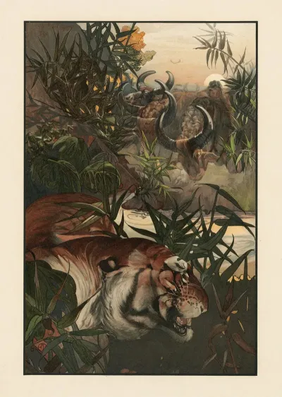 Shere Khan In Jungle 2