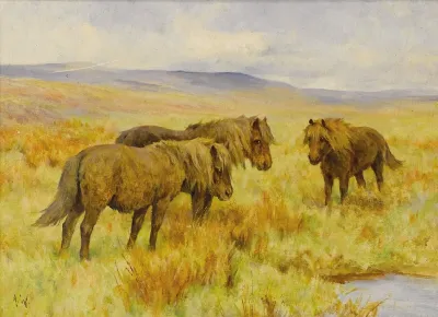 Shetland Ponies