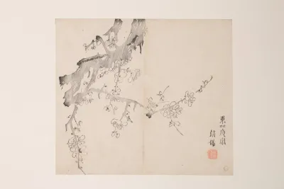 Shi Zhu Zhai Pl 11