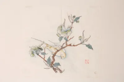 Shi Zhu Zhai Pl 24