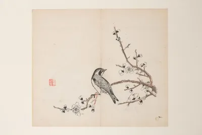 Shi Zhu Zhai Pl 41