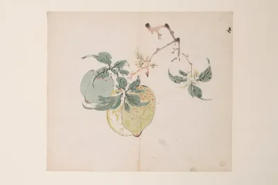 Shi Zhu Zhai Pl 46