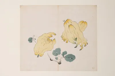 Shi Zhu Zhai Pl 48
