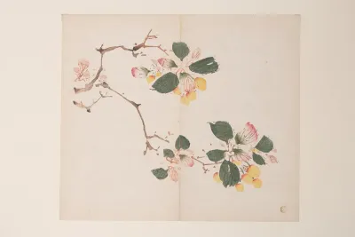 Shi Zhu Zhai Pl 49