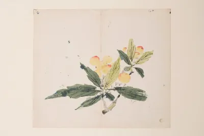 Shi Zhu Zhai Pl 51