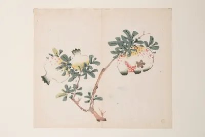 Shi Zhu Zhai Pl 52