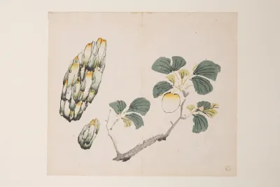 Shi Zhu Zhai Pl 53