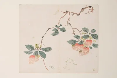 Shi Zhu Zhai Pl 55