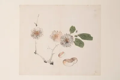 Shi Zhu Zhai Pl 56