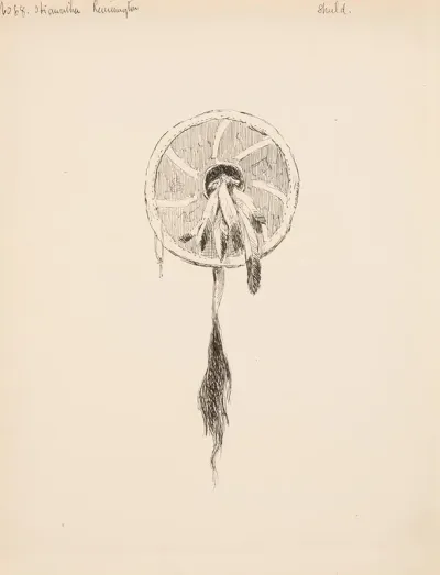 Shield Illustration For The Song Of Hiawatha