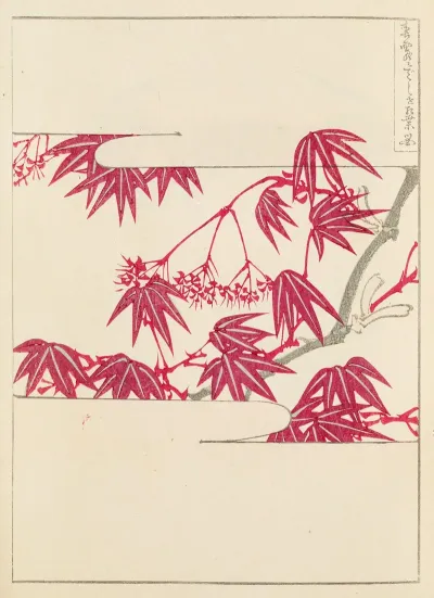 Shin Bijutsukai Pl 007