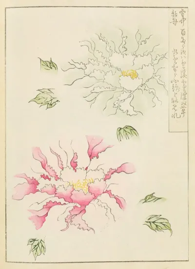 Shin Bijutsukai Pl 012