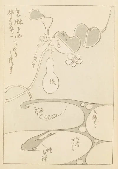 Shin Bijutsukai Pl 062