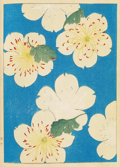 Shin Bijutsukai Pl 082