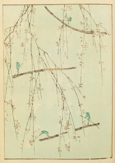 Shin Bijutsukai Pl 145
