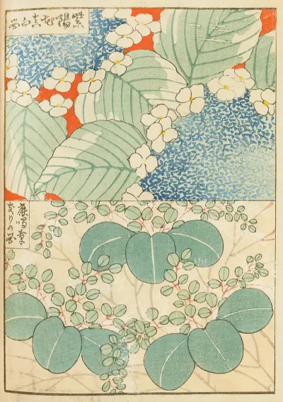 Shin Bijutsukai Pl 156