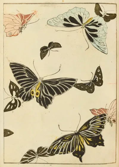 Shin Bijutsukai Pl 157