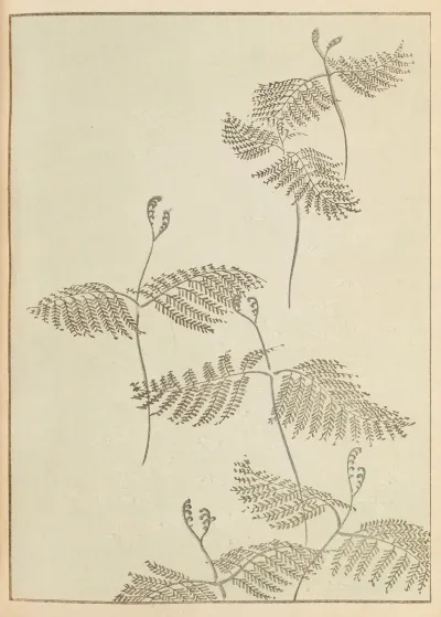 Shin Bijutsukai Pl 230