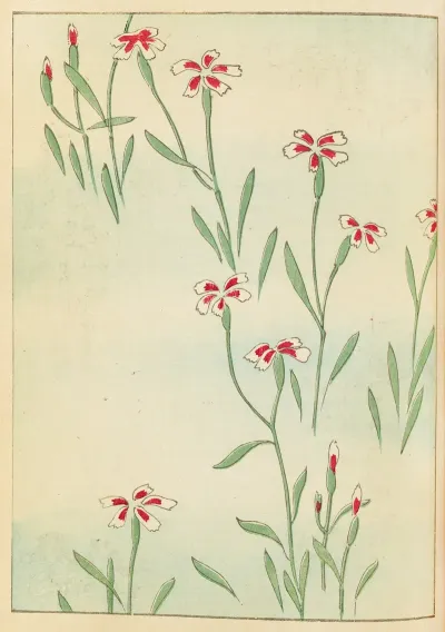 Shin Bijutsukai Pl 239