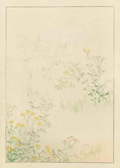 Shin Bijutsukai Pl 285