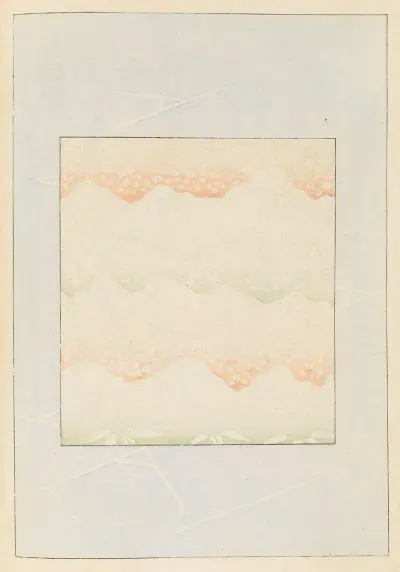 Shin Bijutsukai Pl 324