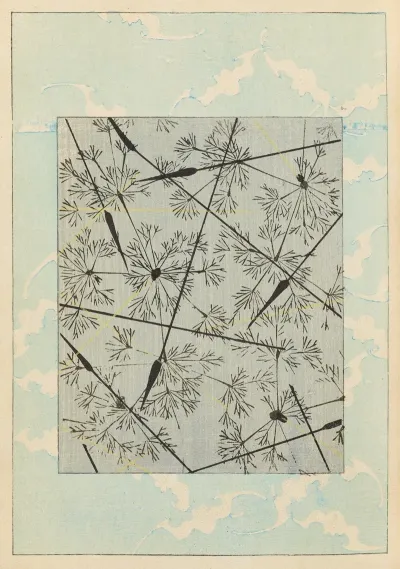 Shin Bijutsukai Pl 325