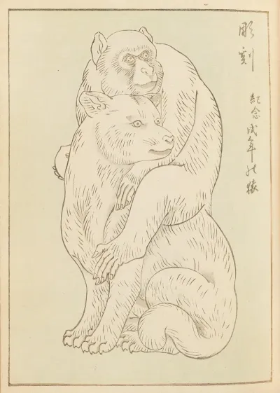 Shin Bijutsukai Pl 345