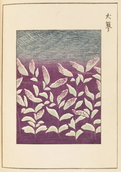 Shin Bijutsukai Pl 360
