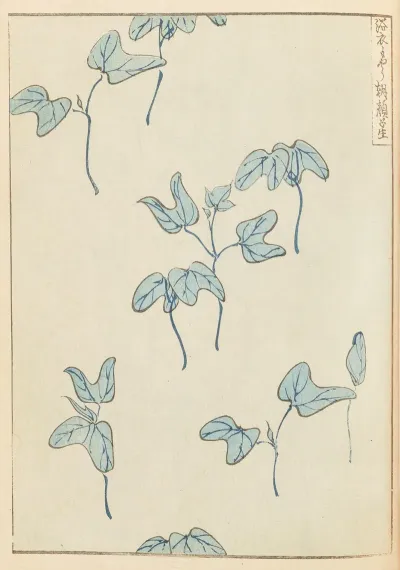Shin Bijutsukai Pl 437