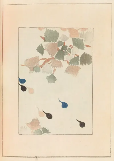 Shin Bijutsukai Pl 446