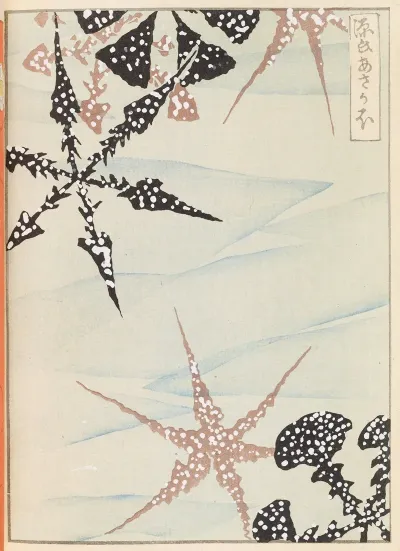 Shin Bijutsukai Pl 472