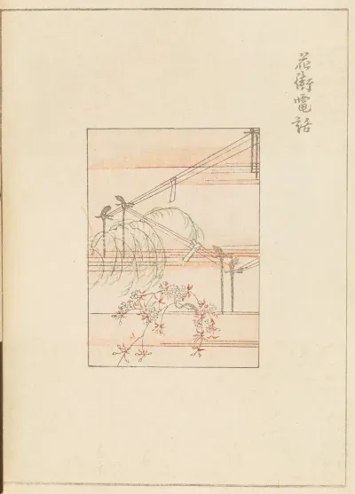 Shin Bijutsukai Pl 494