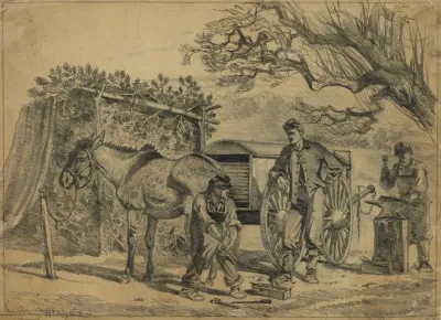 Shoeing A Mule