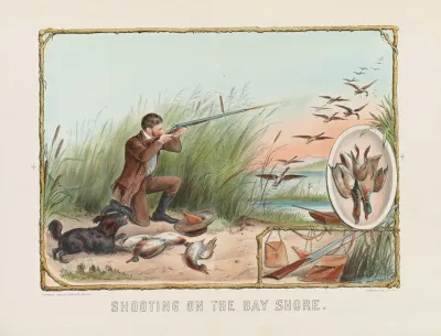Shooting On The Bay Shore