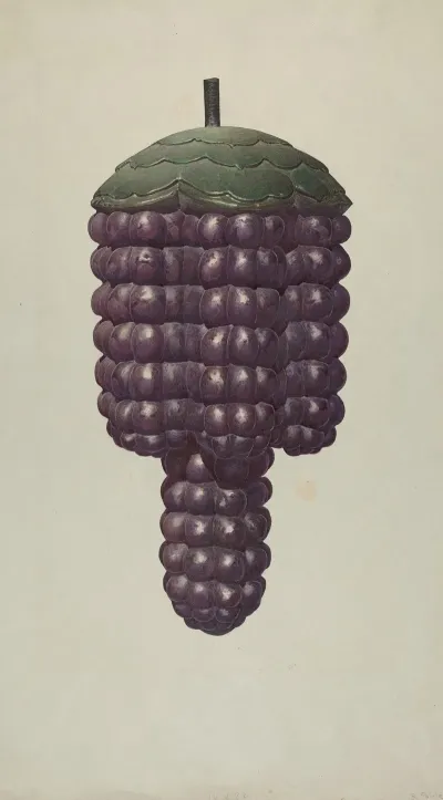 Shop Sign Grapes