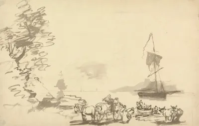 Shore Study