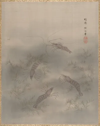 Shrimp Ebi